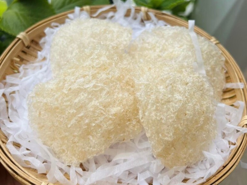 Giá tổ yến vụn bao nhiêu lạng? Lưu ý khi mua yến vụn